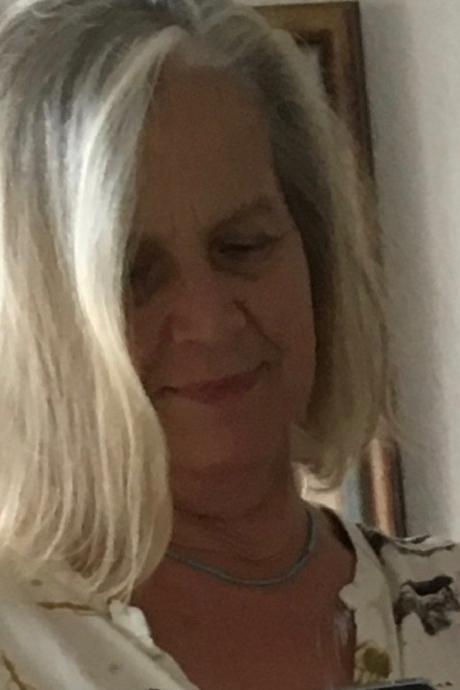 Main Image Supporting the Content of author-author